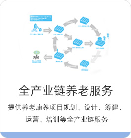 全產(chǎn)業(yè)鏈養(yǎng)老服務(wù) 集團(tuán)集地產(chǎn)、醫(yī)療、照護(hù)、銷(xiāo)售等多產(chǎn)業(yè)聯(lián)動(dòng)